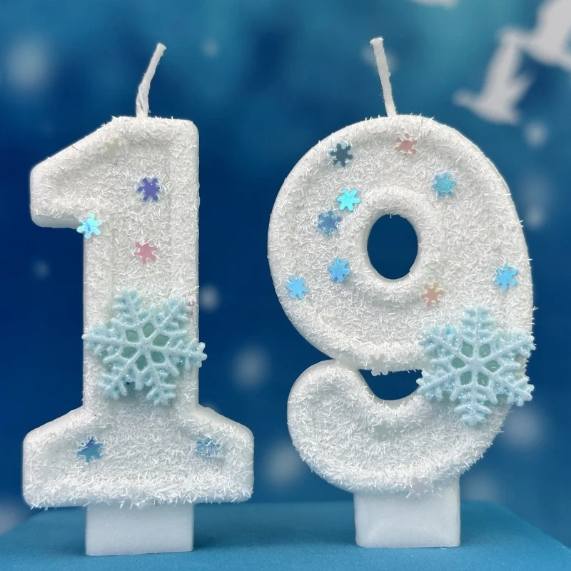 Christmas Birthday Number Cand - Meal Prep Frozen review and price
