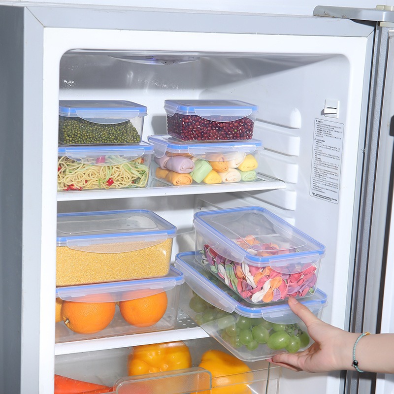 Rectangular Airtight Plastic L - Meal Prep For Office review and price